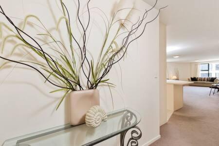 Oceanside Apartment Маунт-Маунгани Экстерьер фото